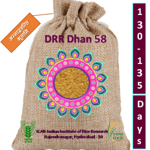 డి‌ఆర్‌ఆర్ ధాన్  58 / डीआरआर धान 58 / DRR Dhan 58