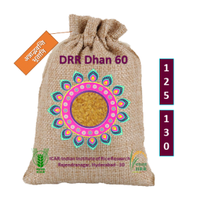 డిఆర్ఆర్ ధాన్  60 / डीआरआर धान 60 / DRR Dhan 60